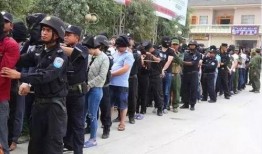 云南缅甸最新爆料视频,神秘视频揭示惊人真相